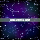 属狗的是哪些年出生的呢，猴子出生是哪些年