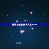 鼠属相起名用字大全2008，2008年属鼠的取名忌用什么偏旁部首