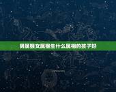 男属猴女属猴生什么属相的孩子好，男属羊和女属猴的人 生什么属相的孩子好