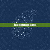 九月属狗男孩命运如何，农历九月人为啥命不好