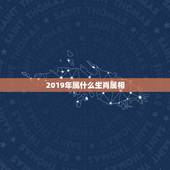 2019年属什么生肖属相，2019年是什么生肖年