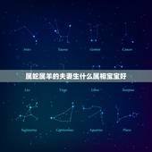 属蛇属羊的夫妻生什么属相宝宝好，属龙和什么属相不合