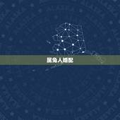 属兔人婚配，属兔的婚配属相