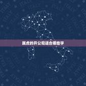 属虎的开公司适合哪些字，汽车销售公司名字起名大全