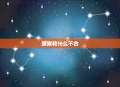 属猪和什么不合，1990马和1995猪合不合