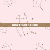 男朋友生日送什么花比较好，男朋友生日适合的句子