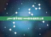 1997属牛婚配1999属兔结婚怎么样，男属牛(1997年)女属兔(&amp;#8216;