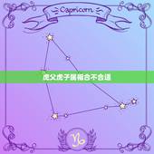 虎父虎子属相合不合适，父亲属虎子女属龙相克吗