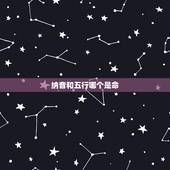 纳音和五行哪个是命，五行命和纳音命的区别