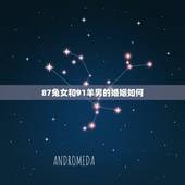 87兔女和91羊男的婚姻如何，女属羊91和男属兔87配吗？