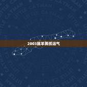 2003属羊男孩运气，2003属羊男孩命运