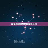 属兔的和属牛的属相怎么样，牛跟兔婚姻相配吗