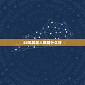 88年属龙人佩戴什么好，88年属龙木命带什么首饰