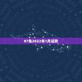 87兔2022年1月运势，属兔19年12月运势