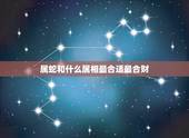 属蛇和什么属相最合适最合财，羊和蛇合财吗