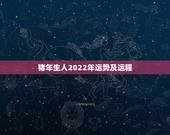 猪年生人2022年运势及运程，属马2023年运势及运程每月运程