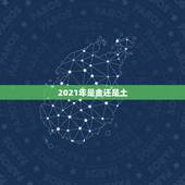 2021年是金还是土，2021年是金牛，纳音为壁上土，这一年出生的人为