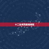 十二生肖同属相婚配，相同属相的两个人能结婚吗