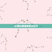 85跟86属相能否过日子，85年属牛和86年属虎合适吗？
