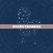 属羊的男孩子最佳婚配属相，男属羊的和什么属相最配