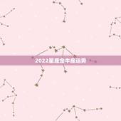 2022星座金牛座运势，2022金牛座运势如何