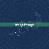 丙午马是哪年出生的，丙午马是什么马