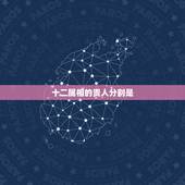 十二属相的贵人分别是，十二生肖哪个动物代表贵人