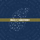 陶白白十二星座分析图片，陶白白什么梗？