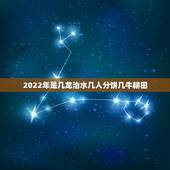 2022年是几龙治水几人分饼几牛耕田，2021年几牛耕田，几龙治水？