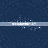 猪狗和猪狗的婚配好不好，属狗的与属猪的能婚配吗