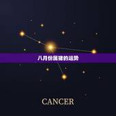 八月份属猪的运势，属猪的2008年有什么运气
