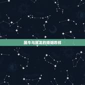 属牛与属龙的婚姻咋样，属狗和属龙的婚姻
