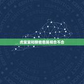 虎宝宝和猴爸爸属相合不合，爸爸生肖是虎儿子是猴会冲到吗？父子不合吗