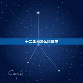 十二生肖怎么排顺序，十二生肖是如何排序。详情。
