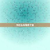 为什么乌龟死了会，乌龟为什么会