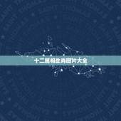 十二属相生肖图片大全，十二生肖战士的真实图片