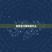 自的五行属性是什么，若、字在五行属什么