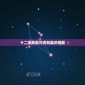 十二生肖配对虎和鼠的婚配，属虎和什么属相合婚