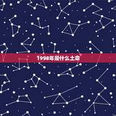 1998年是什么土命，88年属龙是木命还是土命