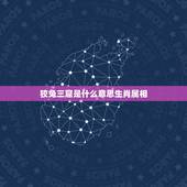 狡兔三窟是什么意思生肖属相，狡兔三窟是比喻什么生肖？