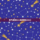 有气质有女人味的网名2023，有气质有女人味的网名？