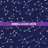 属兔的人2022年12月5号，属龙的人用什么  号码好