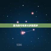 属马的今年多大岁数周岁，2022 年属龙的多大年龄