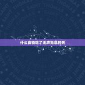 什么食物吃了无声无息的死，吃什么东西，会迅速致死