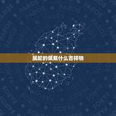 属蛇的佩戴什么吉祥物，2022 蛇适合戴什么首饰