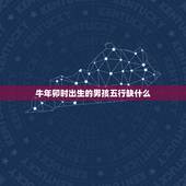 牛年卯时出生的男孩五行缺什么，牛年出生的宝宝起名