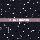 十二生肖今日运势查询，查询十二生肖运势