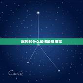 属狗和什么属相最配相克，属狗和什么属相相冲