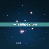 2011年属兔的今年几年级，2011年属兔是什么命
