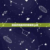 属鼠的和属鸡的婚姻怎么样，属鼠女和属鸡男的婚姻怎么样